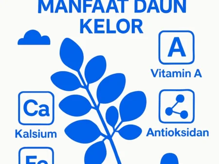 Kandungan dan Manfaat Daun Kelor