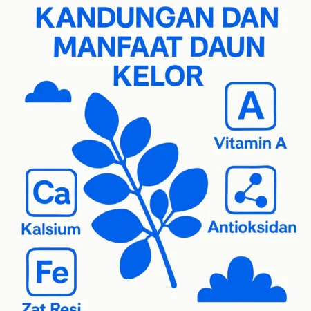 Kandungan dan Manfaat Daun Kelor